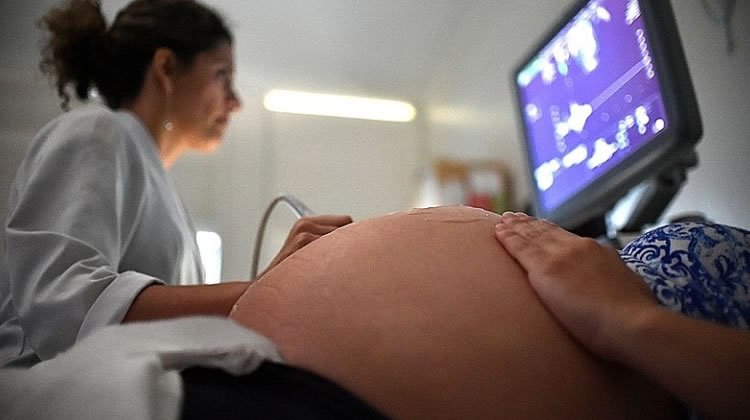 Programas do Governo Para Gestantes: Conheça Seus Direitos e Benefícios